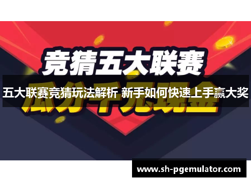 五大联赛竞猜玩法解析 新手如何快速上手赢大奖